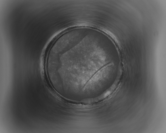 X0000102311120200808011417