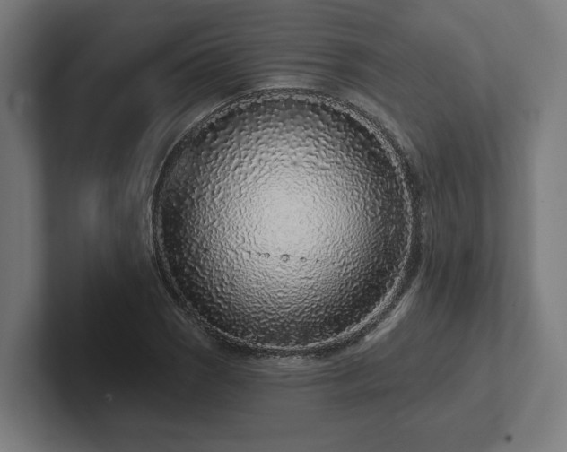 X0000102311121200808011417