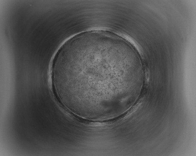 X0000102311124200808011417