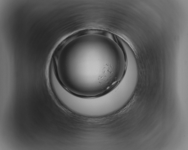 X0000102311128200808011417