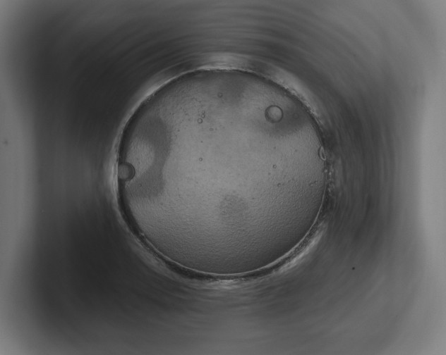 X0000102311130200808011417