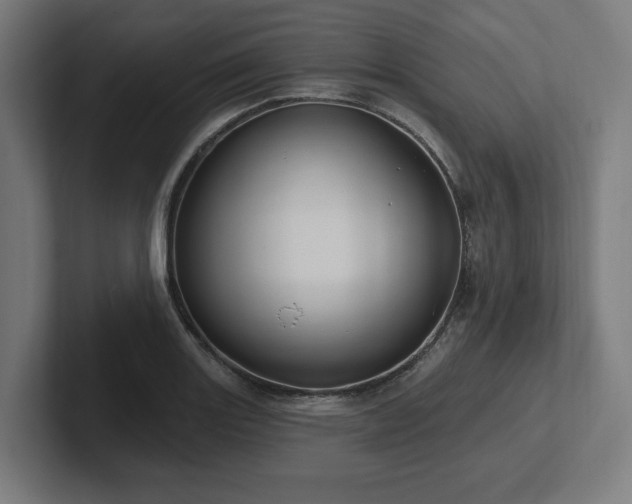 X0000102311131200808011417