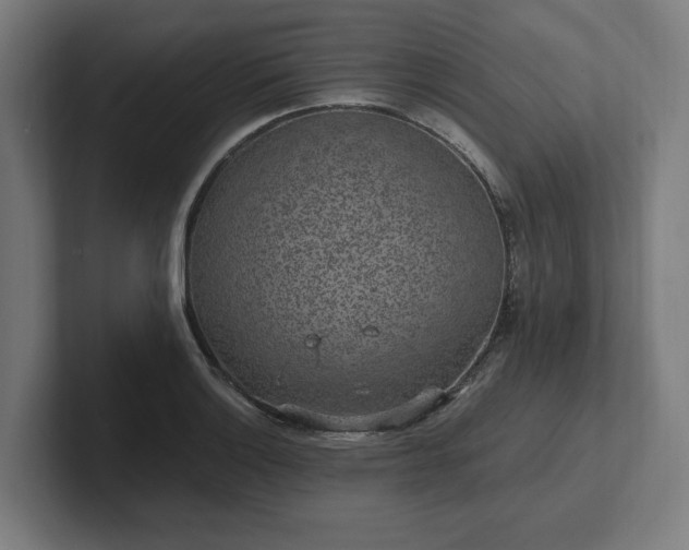 X0000102311132200808011417