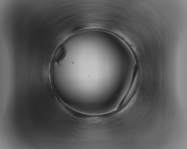 X0000102311137200808011417