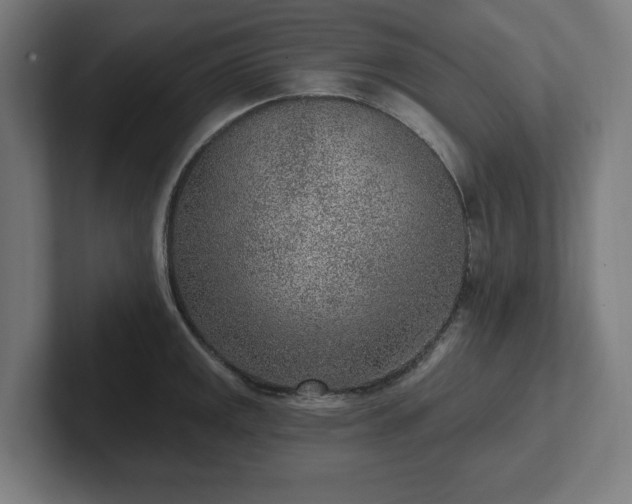 X0000102311141200808011417