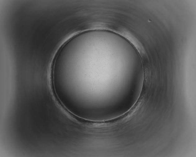 X0000102311142200808011417