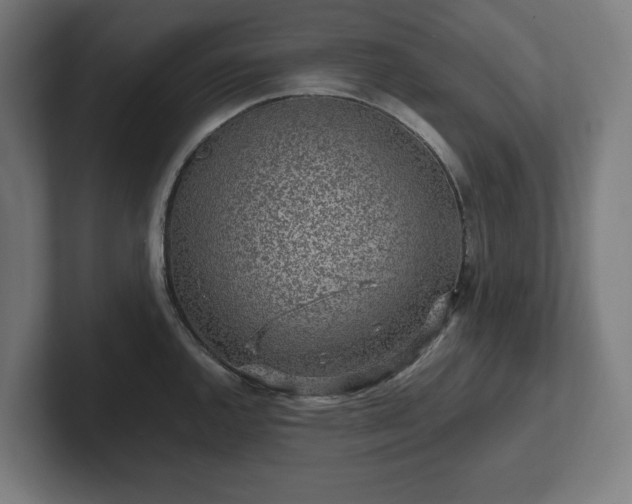 X0000102311144200808011417