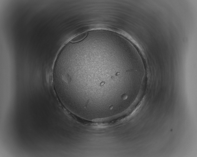 X0000102311145200808011417