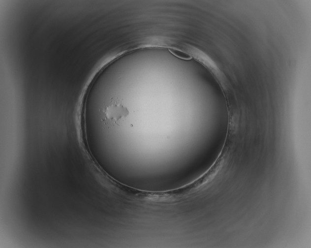 X0000102311146200808011417