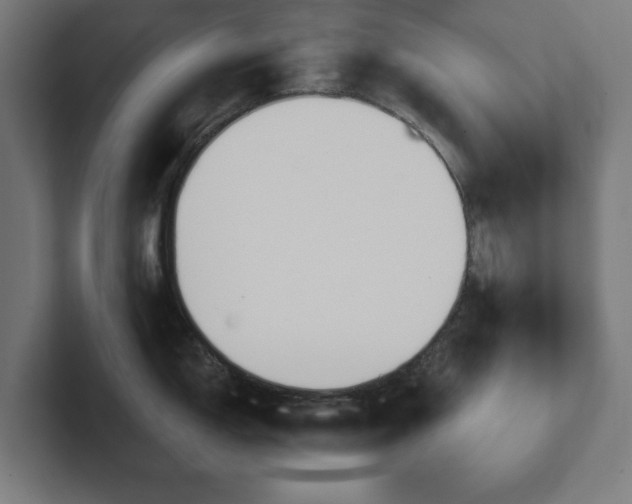 X0000102311150200808011418