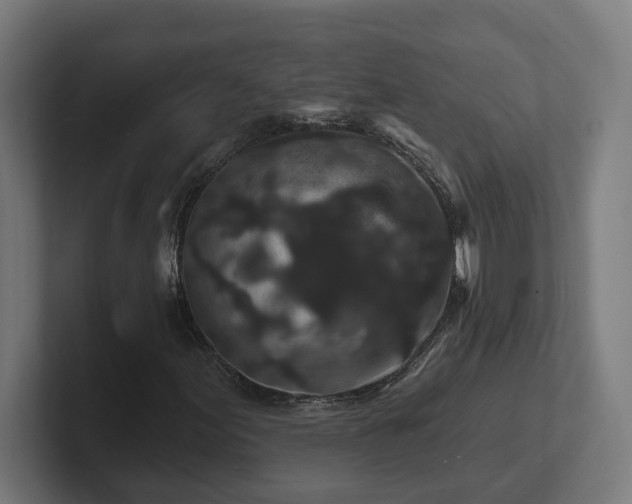 X0000102311155200808011417