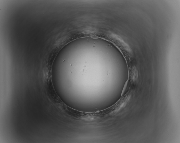 X0000102311157200808011417