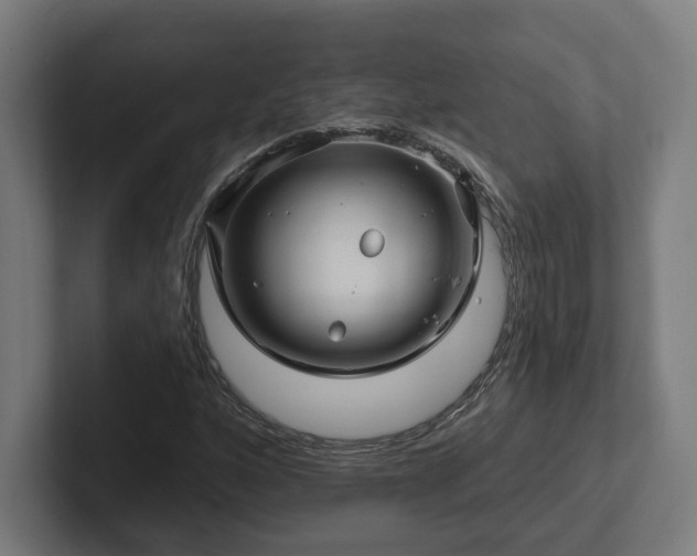 X0000102311160200808011417