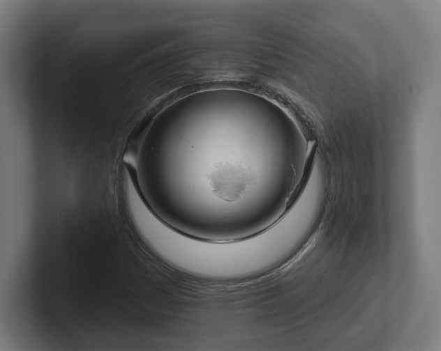 X0000102311161200808011417