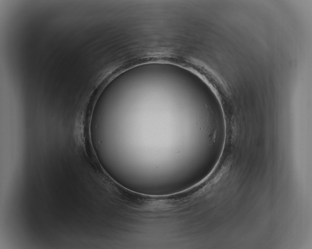 X0000102311162200808011417