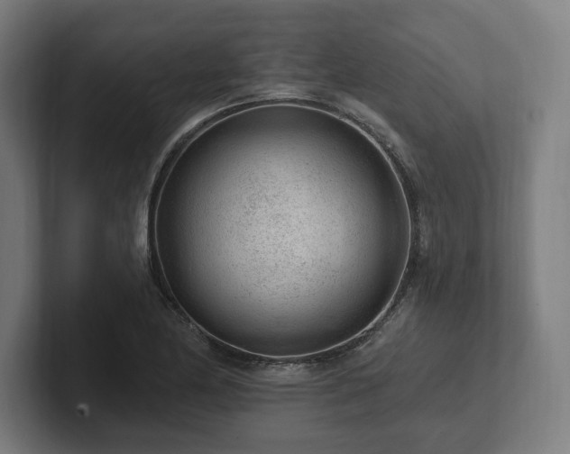 X0000102311174200808011417