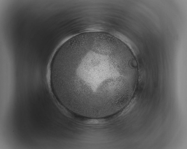 X0000102311179200808011417