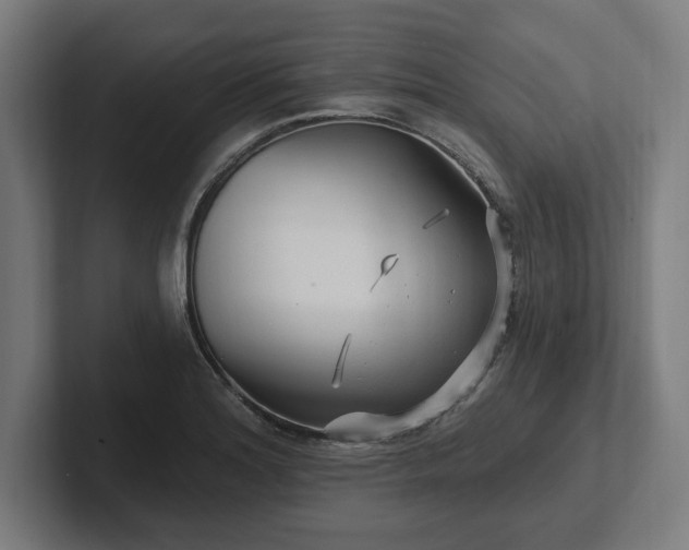 X0000102311180200808011417