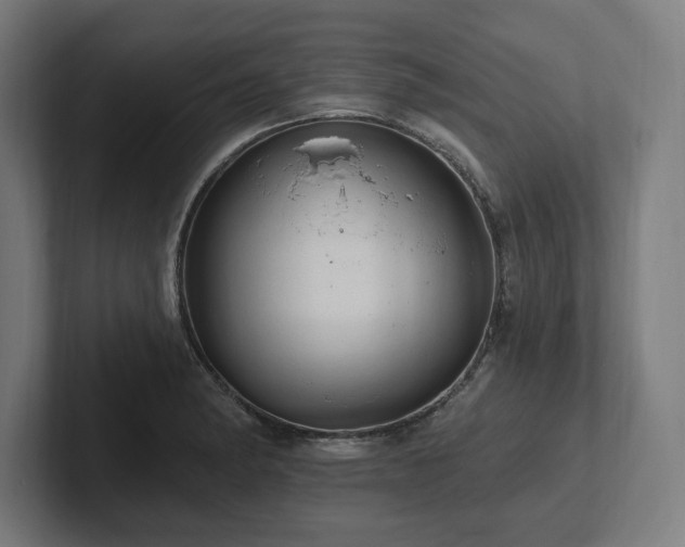 X0000102311182200808011417