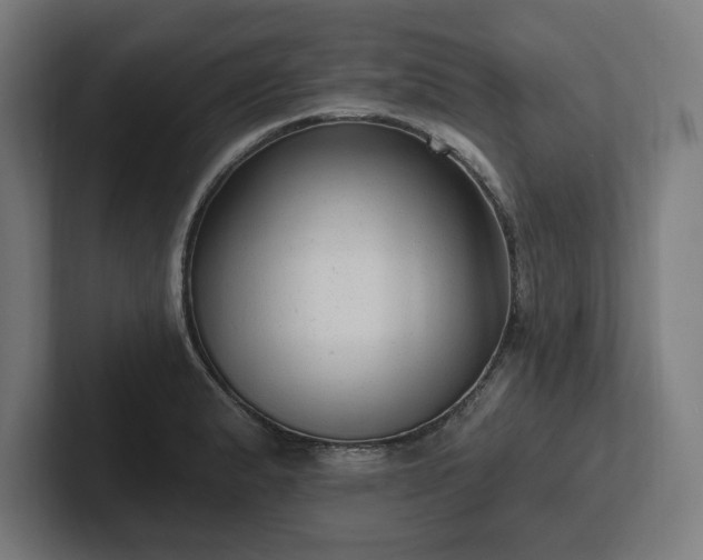 X0000102311183200808011417