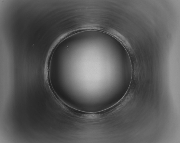 X0000102311188200808011416