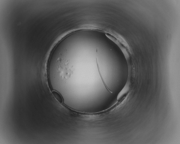 X0000102311192200808011416