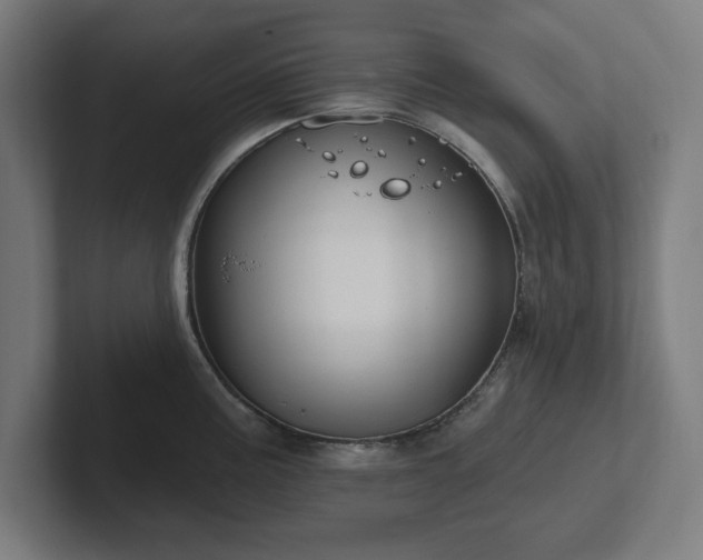 X0000102311195200808011416