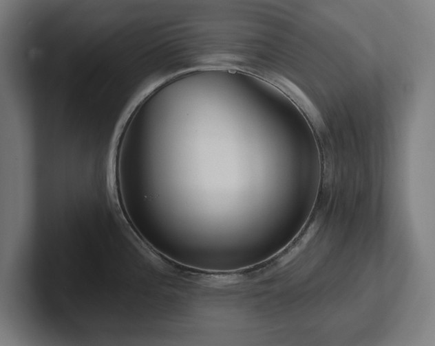 X0000102311196200808011416