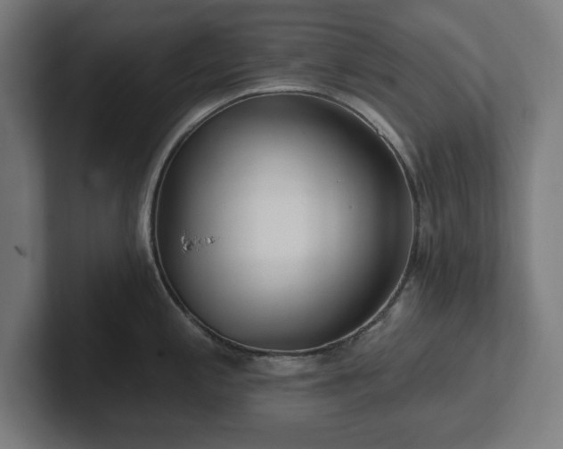 X0000102311197200808011416