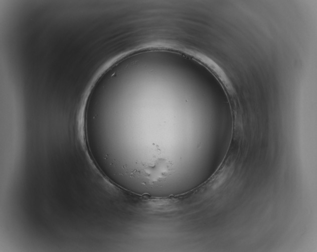 X0000102311199200808011416