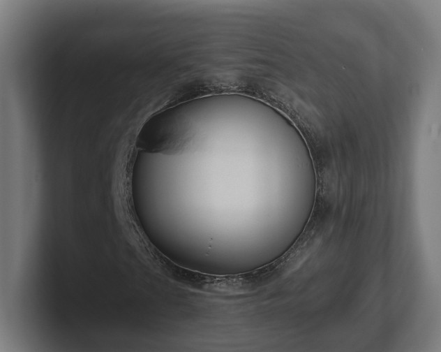 X0000102311201200808011416