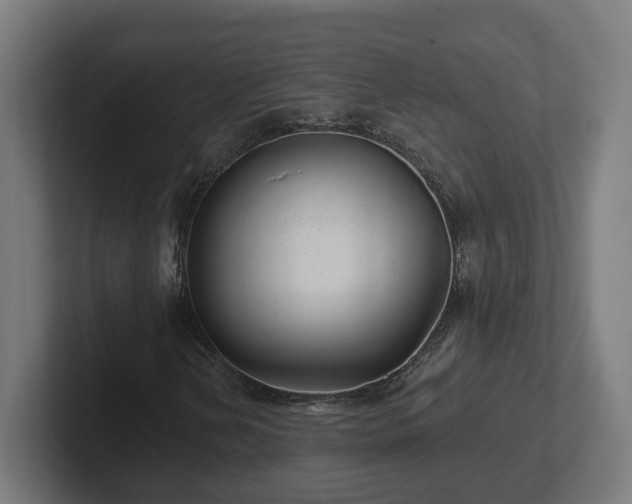 X0000102311202200808011416