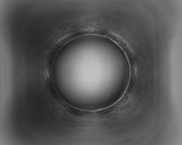 X0000102311206200808011416