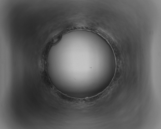 X0000102311207200808011416