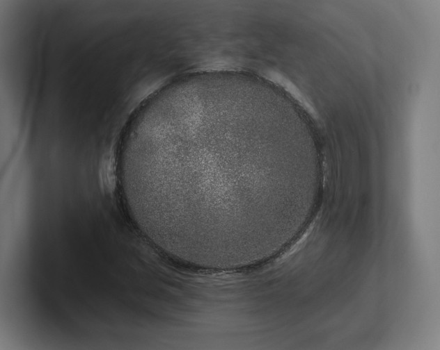 X0000102311213200808011416