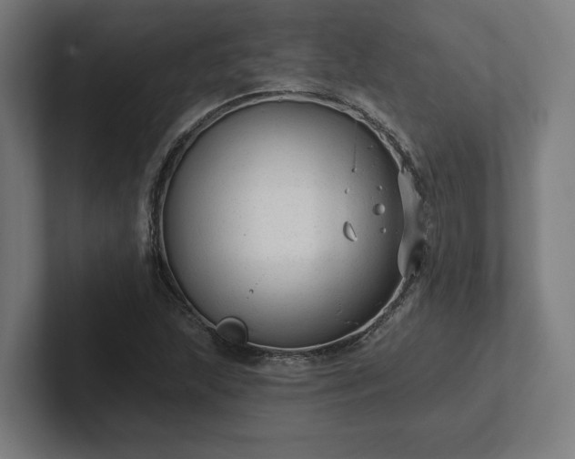 X0000102311215200808011416