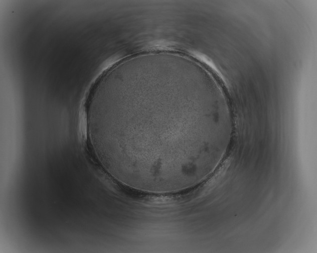 X0000102311219200808011416