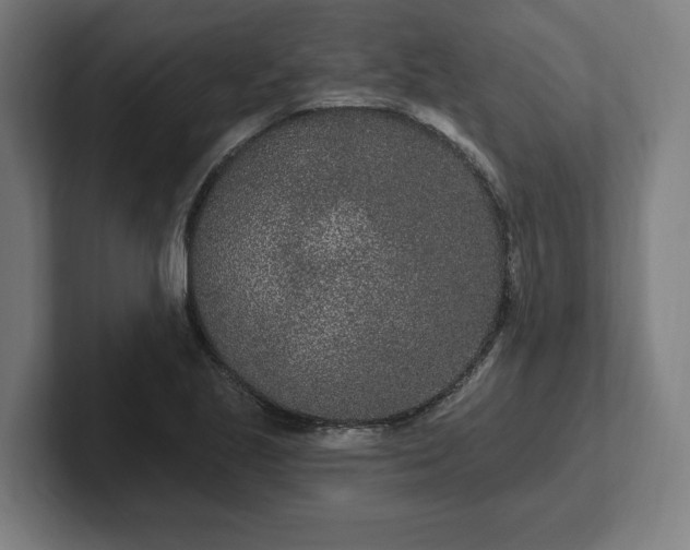 X0000102311221200808011416