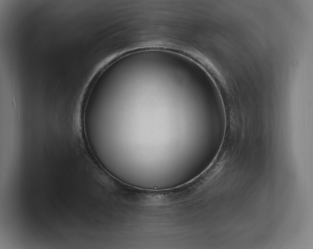 X0000102311230200808011416