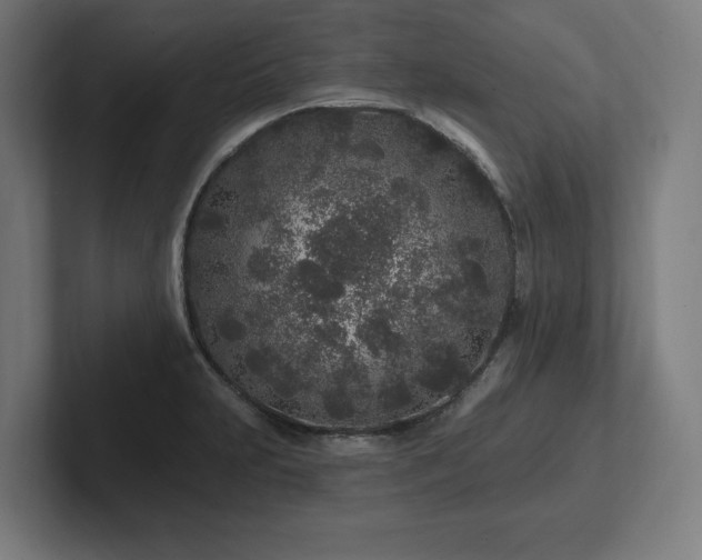 X0000102311231200808011416