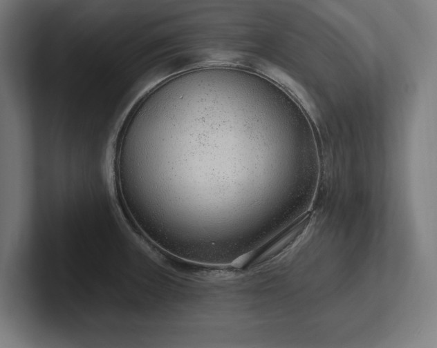 X0000102311235200808011416