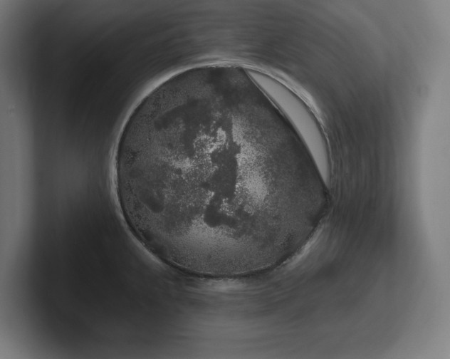 X0000102311239200808011416