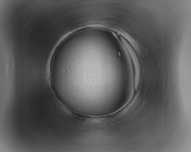 X0000102311240200808011416