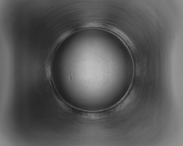 X0000102311241200808011416