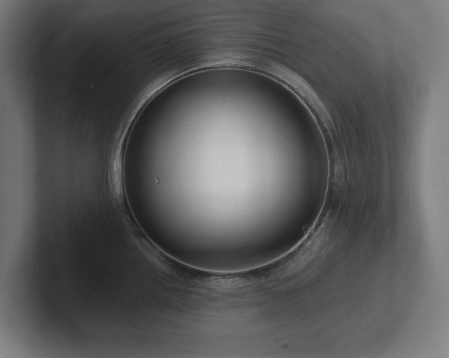 X0000102311242200808011416