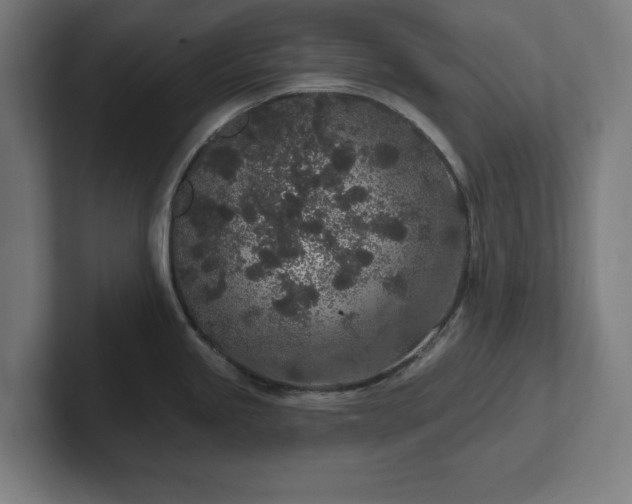 X0000102311245200808011416