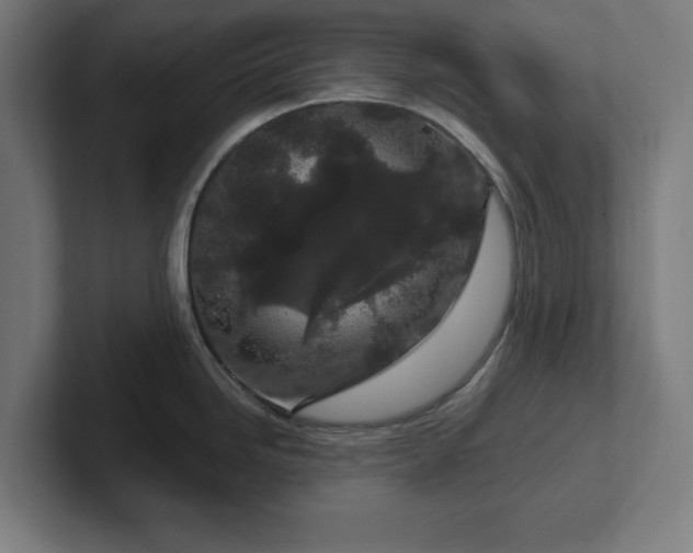 X0000102311246200808011416