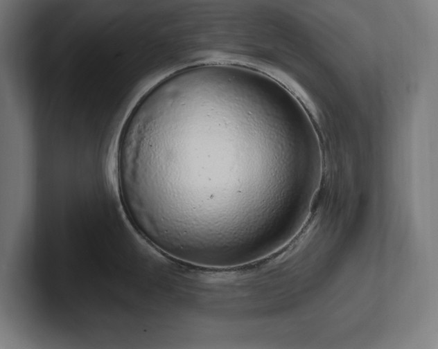 X0000102311247200808011416