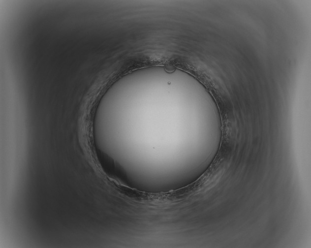 X0000102311249200808011416