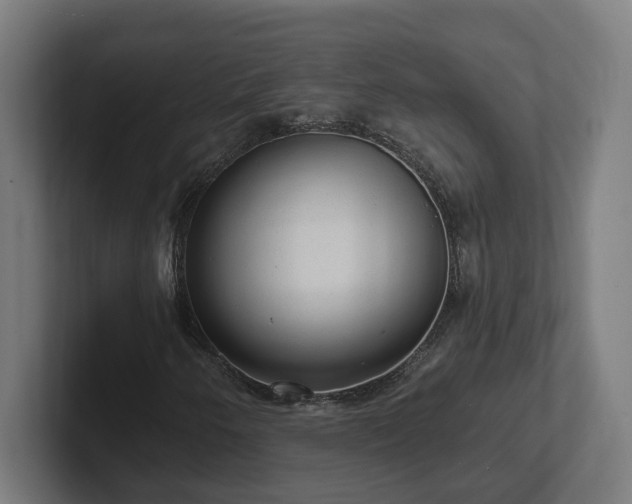 X0000102311250200808011416